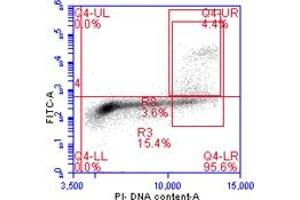 Flow Cytometry (FACS) image for anti-Histone H3 (H3) (pSer10) antibody (ABIN7449558) (Histone 3 antibody  (pSer10))