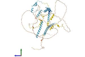 AlphaFold protein structure predicition of Mouse Recombinant Clasrp Protein, UniprotID Q8CFC7 (SFRS16 Protein (AA 1-668) (His tag))