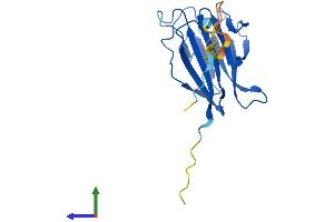 AlphaFold protein structure predicition of Human Recombinant TIFA Protein, UniprotID Q96CG3 (TIFA Protein (AA 1-184) (His tag))