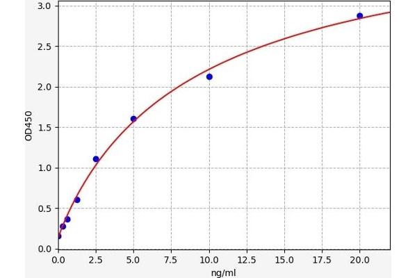 Tryptophan Hydroxylase 1 ELISA Kit