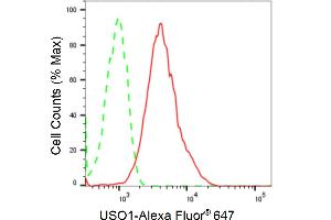 Flow cytometric analysis of USO1 expression in HepG2 cells using USO1 antibody (ABIN7800775), 1:2,000).