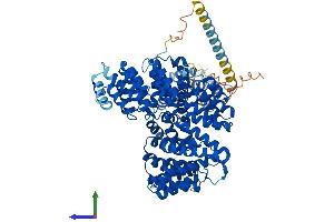 AlphaFold protein structure predicition of Mouse Recombinant Naa15 Protein, UniprotID Q80UM3