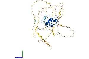 Protein Structure (PS) image for Forkhead Box Q1 (FOXQ1) (AA 1-403) protein (His tag) (ABIN7547688)