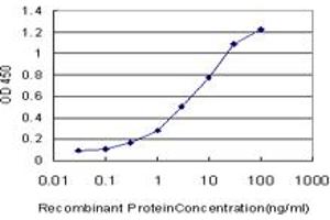 Detection limit for recombinant GST tagged SALL2 is approximately 0. (SALL2 antibody  (AA 1-198))
