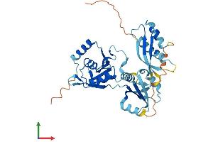 Protein Structure (PS) image for Dead End Homolog 1 (DND1) (AA 1-352) protein (His tag) (ABIN7558120)