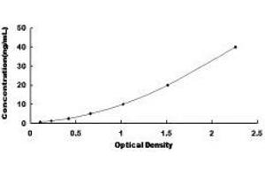 ELISA image for Hepcidin Antimicrobial Peptide (HAMP) ELISA Kit (ABIN572375)