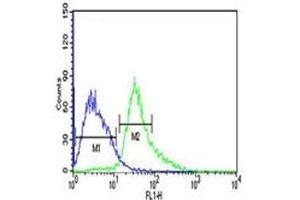 ATF1 antibody flow cytometric analysis of Jurkat cells (right histogram) compared to a negative control (left histogram). (AFT1 antibody  (AA 193-219))