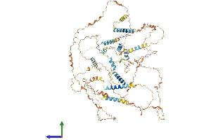 AlphaFold protein structure predicition of Human Recombinant SPATA31D4 Protein, UniprotID Q6ZUB0 (SPATA31D4 Protein (AA 1-917) (His tag))