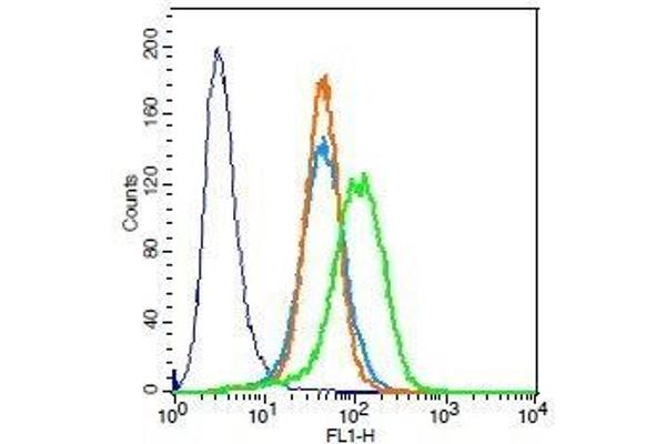 Troponin T antibody  (AA 201-298)