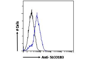 Flow Cytometry (FACS) image for anti-Solute Carrier Organic Anion Transporter Family, Member 1B3 (SLCO1B3) (Internal Region) antibody (ABIN570800)