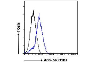 ABIN570800 Flow cytometric analysis of paraformaldehyde fixed HepG2 cells (blue line), permeabilized with 0. (SLCO1B3 antibody  (Internal Region))