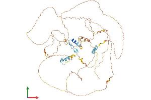 AlphaFold protein structure predicition of Human Recombinant ZNF503 Protein, UniprotID Q96F45