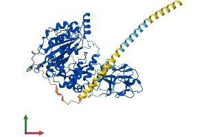 AlphaFold protein structure predicition of Human Recombinant GALNT3 Protein, UniprotID Q14435