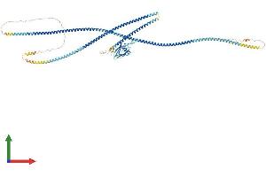 AlphaFold protein structure predicition of Human Recombinant SLMAP Protein, UniprotID Q14BN4 (SLMAP Protein (AA 1-828) (His tag))