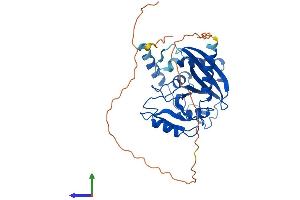AlphaFold protein structure predicition of Mouse Recombinant Endov Protein, UniprotID Q8C9A2 (Endonuclease V Protein (ENDOV) (AA 1-338) (His tag))
