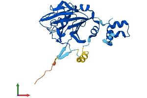 Protein Structure (PS) image for SplA/ryanodine Receptor Domain and SOCS Box Containing 1 (SPSB1) (AA 1-273) protein (His tag) (ABIN7546389)
