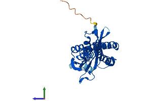 AlphaFold protein structure predicition of Mouse Recombinant Nat8b-ps Protein, UniprotID E0CYC6 (NAT8B Protein (AA 1-232) (His tag))