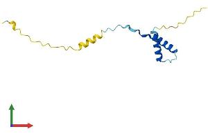 AlphaFold protein structure predicition of Human Recombinant ERVK-19 Protein, UniprotID P61572 (ERVK-19 Protein (AA 1-105) (His tag))