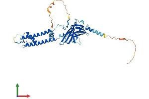 AlphaFold protein structure predicition of Human Recombinant KCNJ11 Protein, UniprotID Q14654 (KCNJ11 Protein (AA 1-390) (His tag))