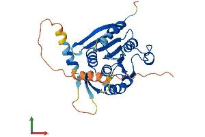 AlphaFold protein structure predicition of Human Recombinant METTL21EP Protein, UniprotID A6NDL7 (METTL21EP Protein (AA 1-271) (His tag))