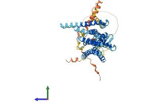 Protein Structure (PS) image for Transmembrane Protein 39B (TMEM39B) (AA 1-492) protein (His tag) (ABIN7558473)