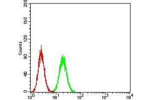 Flow cytometric analysis of Hela cells using ANXA5 mouse mAb (green) and negative control (red). (Annexin V antibody  (AA 160-320))