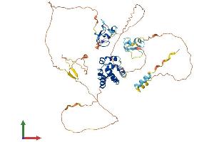 AlphaFold protein structure predicition of Mouse Recombinant Aire Protein, UniprotID Q9Z0E3