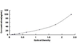 Typical standard curve
