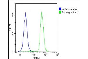 Overlay histogram showing A431 cells stained with (ABIN6244134 and ABIN6578800)(green line). (FAM125A antibody  (AA 16-50))