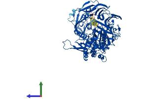 AlphaFold protein structure predicition of Human Recombinant DPP4 Protein, UniprotID P27487 (DPP4 Protein (AA 1-766) (His tag))