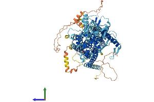 AlphaFold protein structure predicition of Human Recombinant ANO3 Protein, UniprotID Q9BYT9 (ANO3 Protein (AA 1-981) (His tag))
