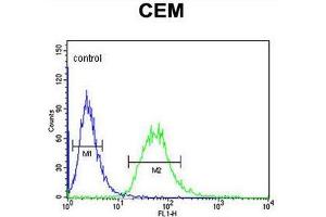 CA6 Antibody (C-term) flow cytometric analysis of CEM cells (right histogram) compared to a negative control cell (left histogram). (CA6 antibody  (C-Term))