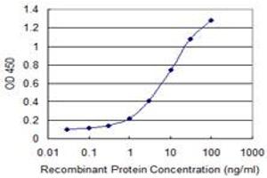 Detection limit for recombinant GST tagged PCSK1N is 0. (PCSK1N antibody  (AA 173-260))