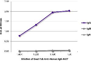 ELISA plate was coated with purified human IgG, IgM, and IgA. (Goat anti-Human IgG Antibody (Biotin))