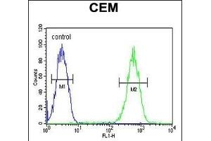 FADS2 Antibody (Center) (ABIN651561 and ABIN2840302) flow cytometric analysis of CEM cells (right histogram) compared to a negative control (left histogram). (FADS2 antibody  (AA 96-122))