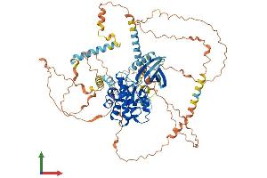 Protein Structure (PS) image for NIMA-Related Kinase 5 (NEK5) (AA 1-708) protein (His tag) (ABIN7549783)