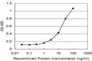 Detection limit for recombinant GST tagged TPO is approximately 1ng/ml as a capture antibody. (Thyroperoxidase antibody  (AA 672-779))
