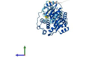 AlphaFold protein structure predicition of Human Recombinant EIF4A3 Protein, UniprotID P38919