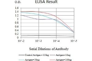 Black line: Control Antigen (100 ng),Purple line: Antigen (10 ng), Blue line: Antigen (50 ng), Red line:Antigen (100 ng) (MTA1 antibody  (AA 541-715))