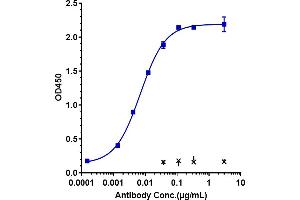 Immobilized human PVRIG His at 2 μg/mL can bind Anti-BTN3A1 Reference Antibody (CTX-2026), EC50=0.