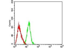 Flow Cytometry (FACS) image for anti-Tumor Necrosis Factor Receptor Superfamily, Member 13B (TNFRSF13B) antibody (ABIN7193634)