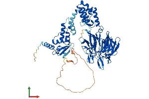 AlphaFold protein structure predicition of Human Recombinant KLHL14 Protein, UniprotID Q9P2G3 (KLHL14 Protein (AA 1-628) (His tag))