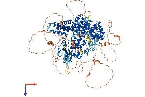 AlphaFold protein structure predicition of Mouse Recombinant Fan1 Protein, UniprotID Q69ZT1