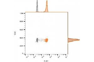 Flow cytometry analysis of bead-bound exosomes derived from MCF-7 cells.