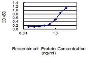 Detection limit for recombinant GST tagged MFN2 is 0. (MFN2 antibody  (AA 661-757))