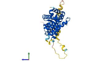 Protein Structure (PS) image for Nuclear Receptor Subfamily 0, Group B, Member 2 (NR0B2) (AA 1-260) protein (His tag) (ABIN7557771)