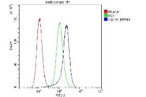 Flow Cytometry analysis of A431 cells using anti-Calbindin antibody (ABIN6719541). (CALB1 antibody  (AA 2-261))