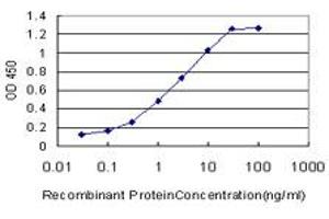 Detection limit for recombinant GST tagged FADS3 is approximately 0. (FADS3 antibody  (AA 16-113))