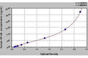 ELISA image for Nuclear Factor of kappa Light Polypeptide Gene Enhancer in B-Cells 1 (NFKB1) ELISA Kit (ABIN6973723)