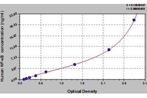 Typical Standard Curve (NFKB1 ELISA Kit)
